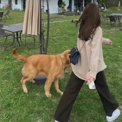 魔鬼下凡